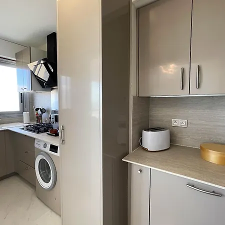 Grand T3 Avec 2 Terrasses Et Acces Direct - Fr-1-420-129