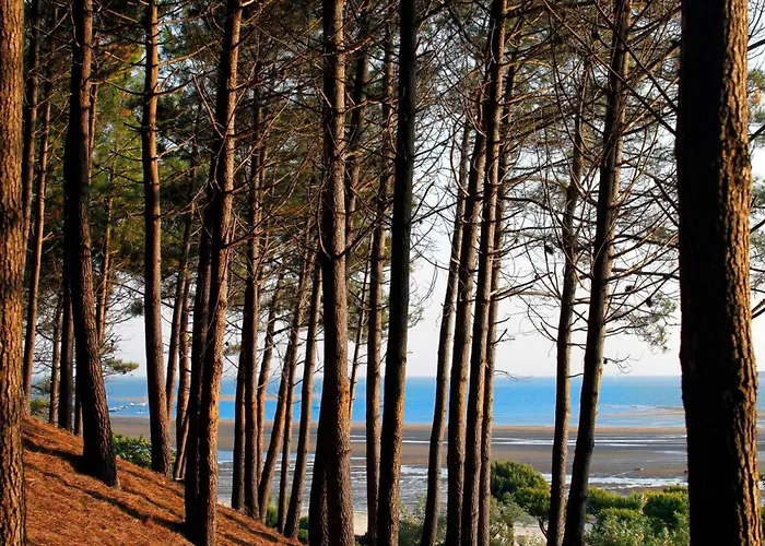 Grand T3 Avec 2 Terrasses Et Acces Direct - Fr-1-420-129 Apartment