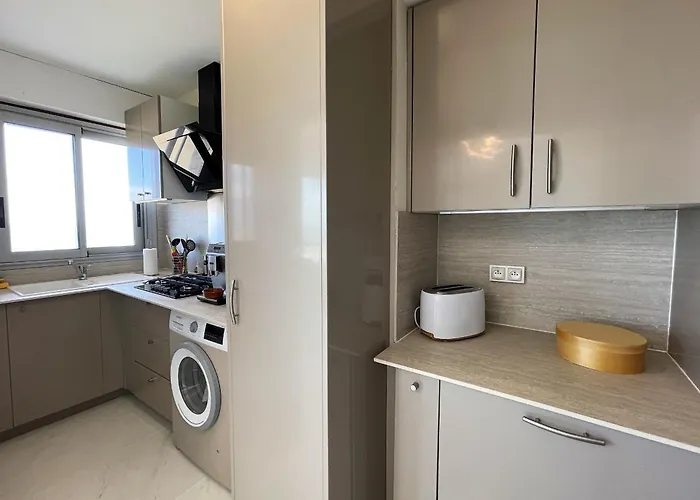 Grand T3 Avec 2 Terrasses Et Acces Direct - Fr-1-420-129